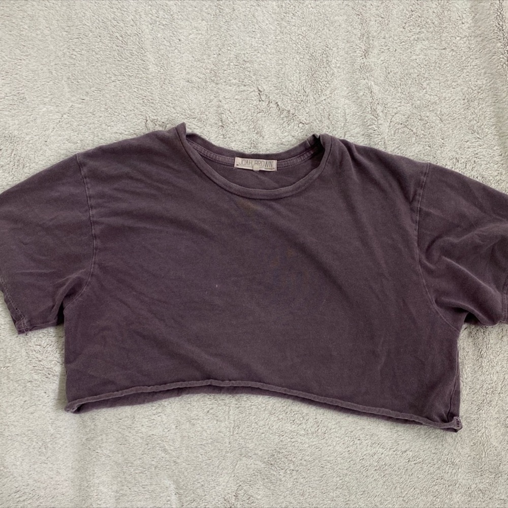 In search of, joah brown purple crop tee